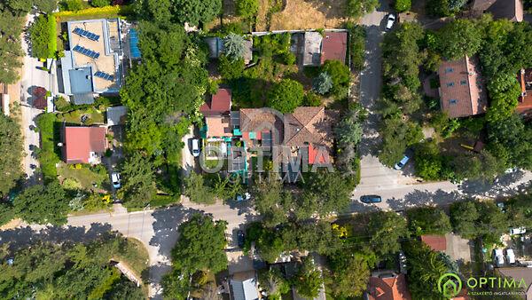 Vadvirág, Diósd képe