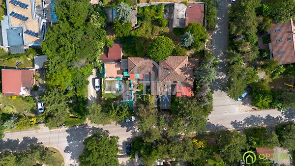 Vadvirág, Diósd 2. képe