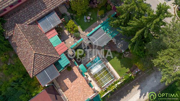 Vadvirág, Diósd 3. képe