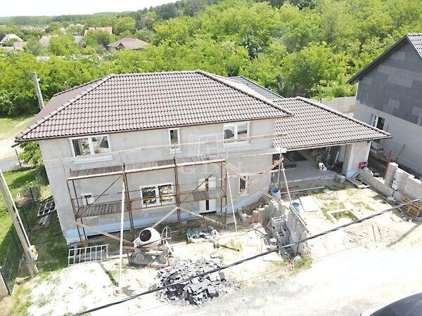 Viola, Sülysáp képe