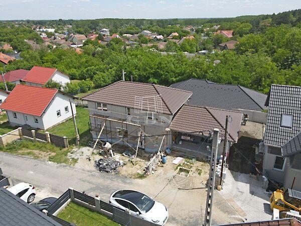 Viola, Sülysáp 3. képe