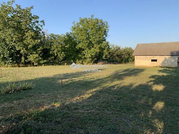 Újtelep, Kozármisleny képe