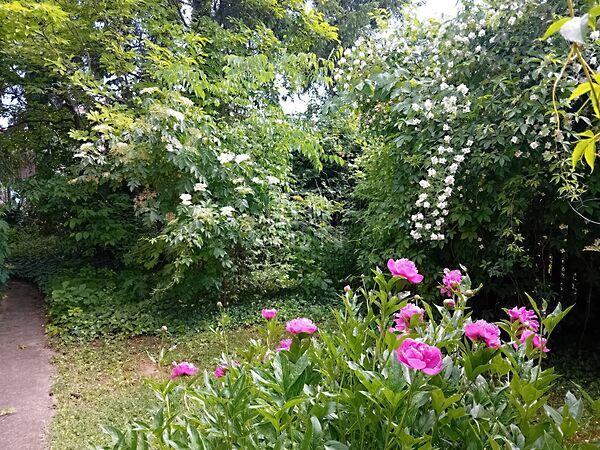 Központhoz, Gödöllő 3. képe