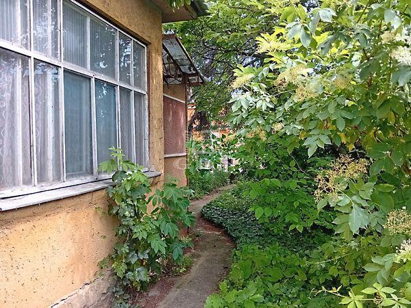 Központhoz, Gödöllő képe