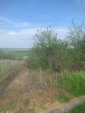 Balatonendréd 2. képe