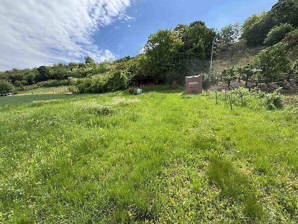 Balatonendréd képe