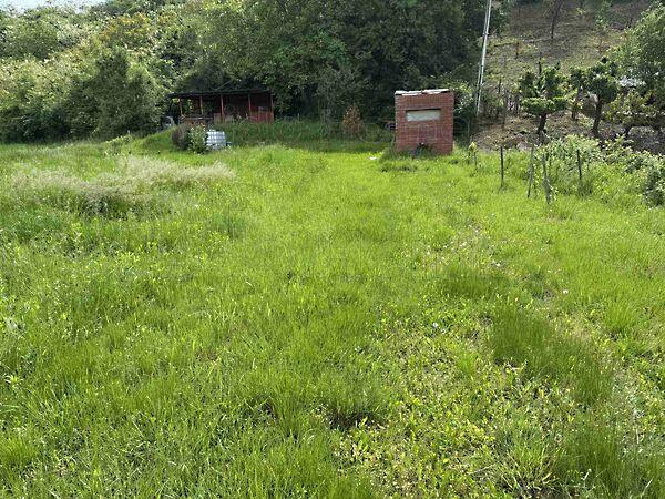 Balatonendréd 2. képe