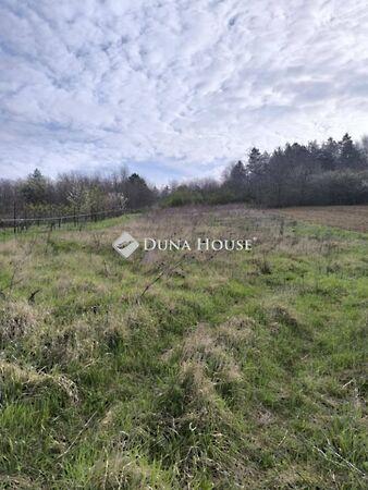 Sokorópátka 2. képe