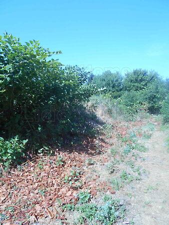 Sümegprága 3. képe