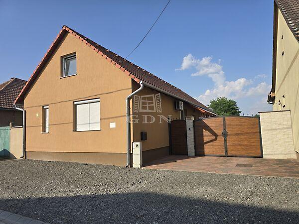 Székely Bertalan, Vaskút 3. képe