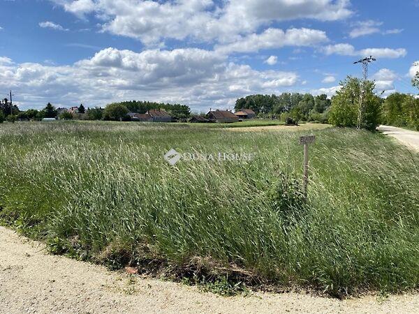 Szarvas, Bodonhely 2. képe