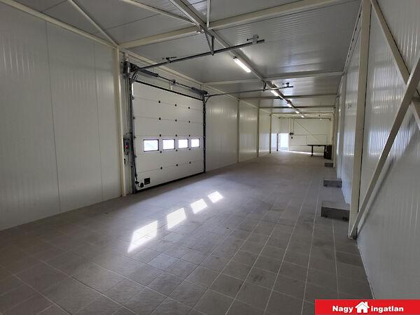 Szent, Dabas 2. képe