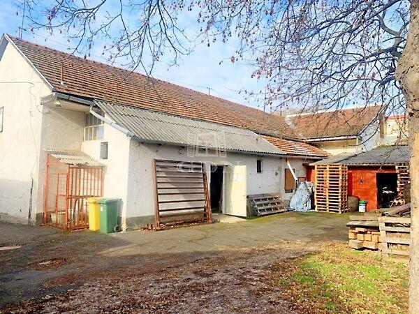 Esze Tamás, Sátoraljaújhely 3. képe