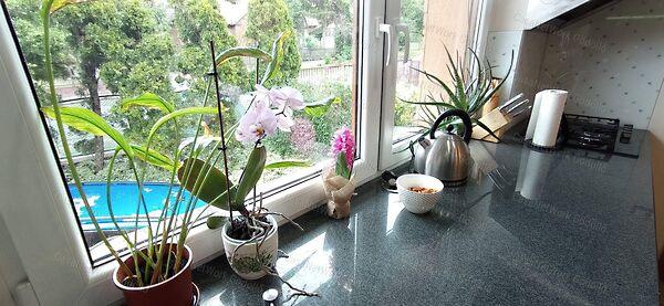 Őrbottyán 2. képe