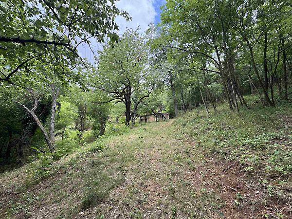 Cserszegtomaj 2. képe