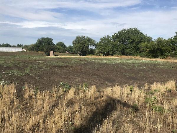 Nagypaté, Szentes 2. képe