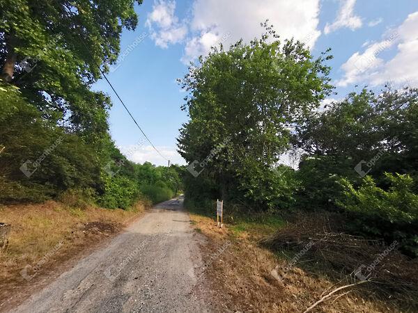 Homokkomárom 2. képe