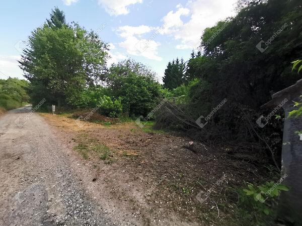 Homokkomárom 3. képe