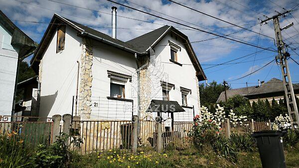 Lechner Ödön, Ózd képe