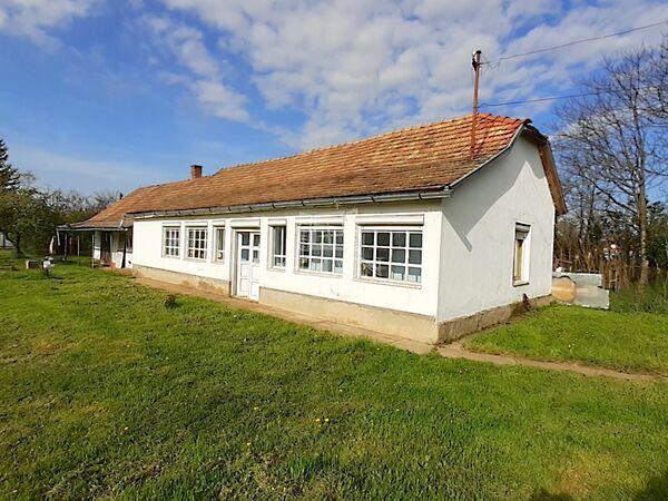 Rákóczi, Hajdúszoboszló képe