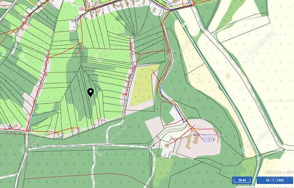 Homokkomárom 2. képe