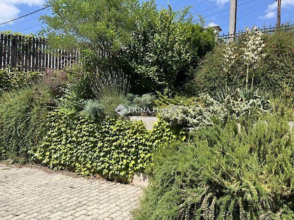 Varjú, Budapest, XXI. kerület 2. képe