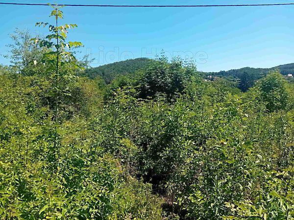 Balatonfüred 2. képe