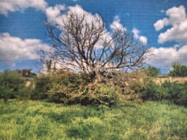 Alcsútdoboz 3. képe