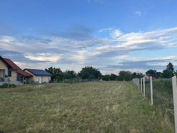 Tavasz, Nagykozár 2. képe