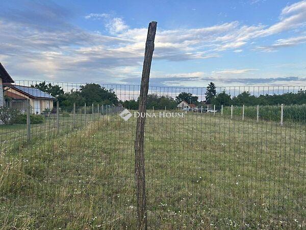 Tavasz, Nagykozár 3. képe