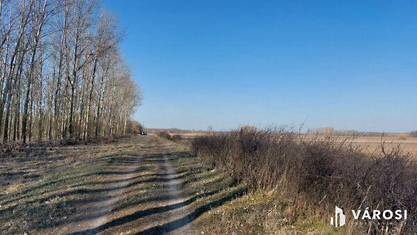 Hosszúpályi 3. képe