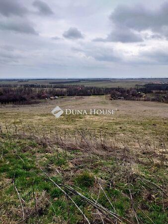 Isaszegi, Pécel képe