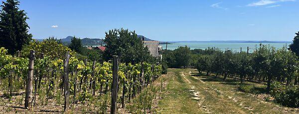 Balatongyörök képe