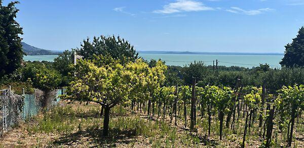 Balatongyörök 3. képe