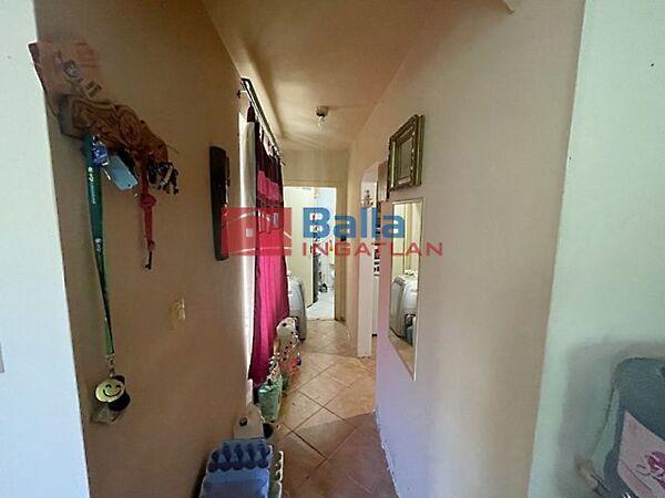 Virág nevű, Törökbálint képe