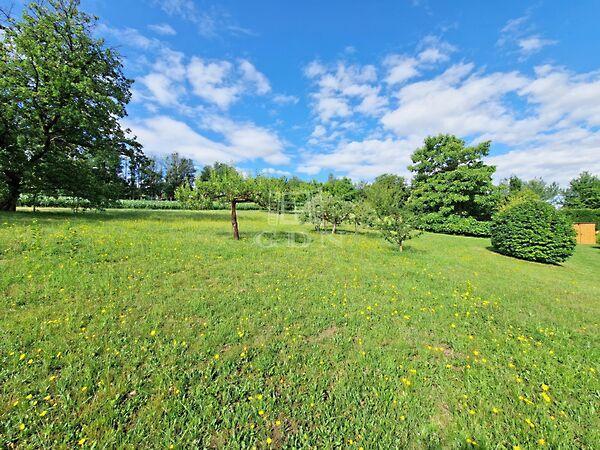 Panorámás, Boncodfölde képe