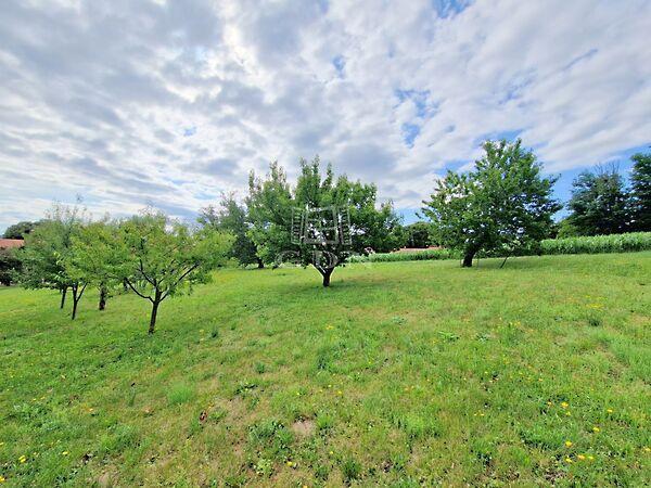 Panorámás, Boncodfölde 2. képe