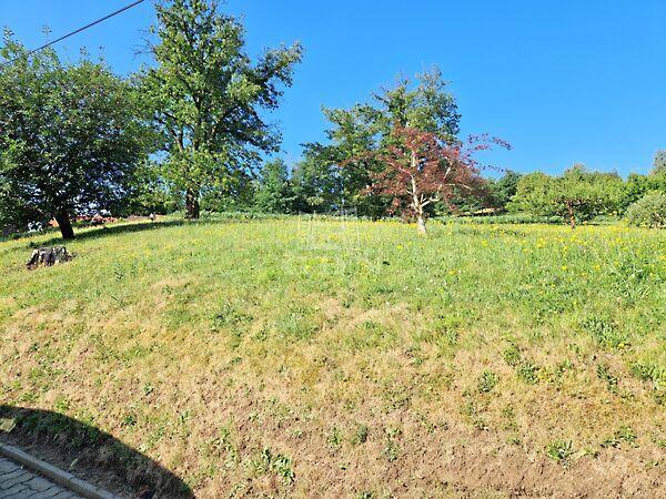 Panorámás, Boncodfölde 3. képe