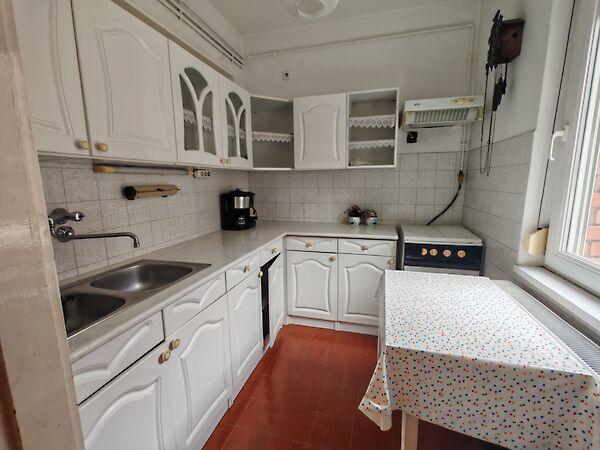 Rigó, Szeged 3. képe