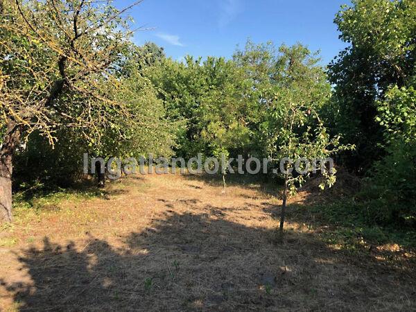 Szigetújfalu 3. képe