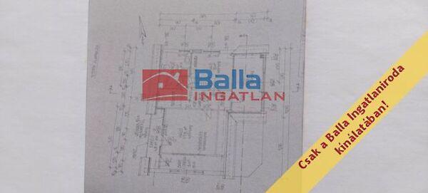 Diótörő, Diósd 2. képe