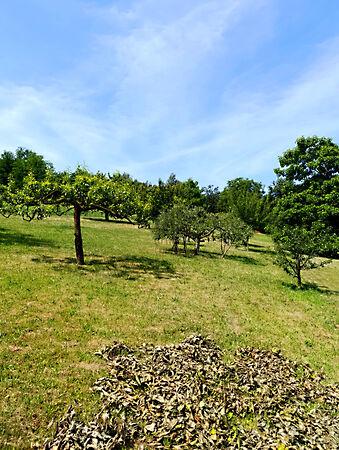 Boncodfölde 2. képe