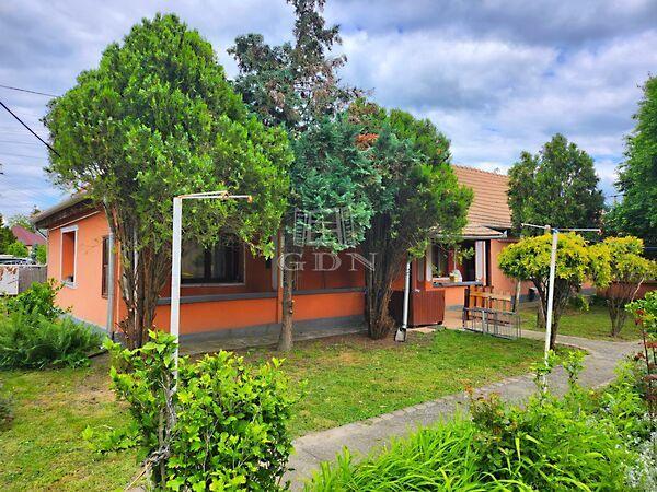 Dózsa György, Tiszaújváros képe