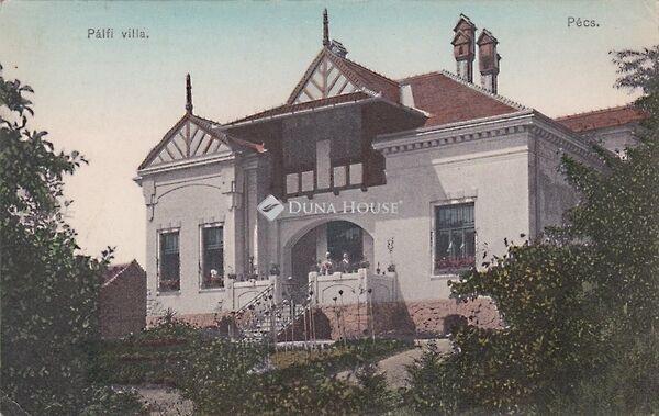 Hunyadi János, Pécs képe