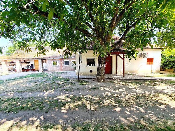 Gerendási, Újkígyós képe