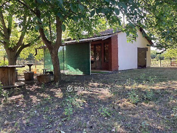 Gyomaendrőd 3. képe