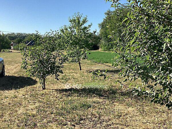 Gyomaendrőd 2. képe