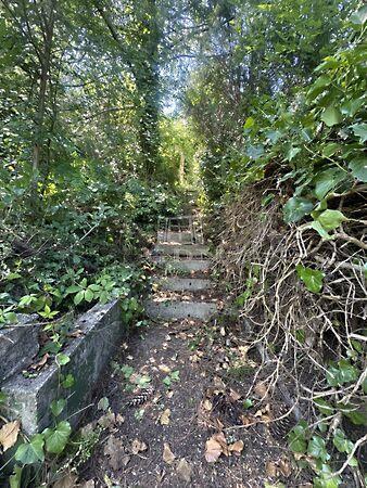 Biatorbágy 2. képe