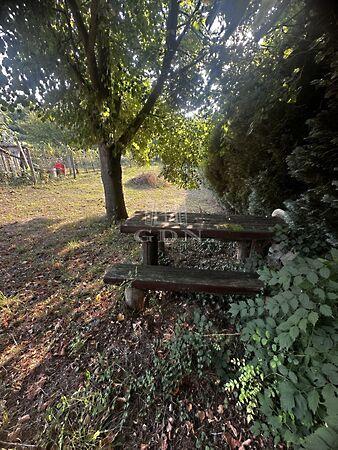 Rétivirág, Zalaszentgrót 2. képe