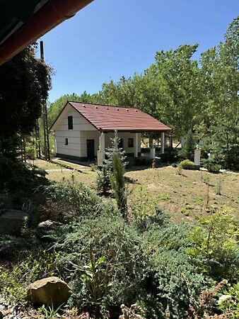 Liget, Monostorpályi képe